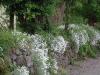 Rock garden in Enniskeane_thumb.jpg 2.9K